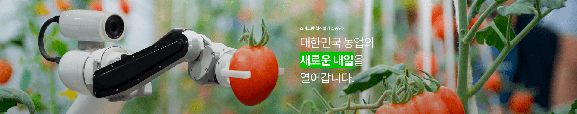스마트팜 혁신밸리 실증단지 / 대한민국의 농업의 새로울 내일을 열어갑니다.