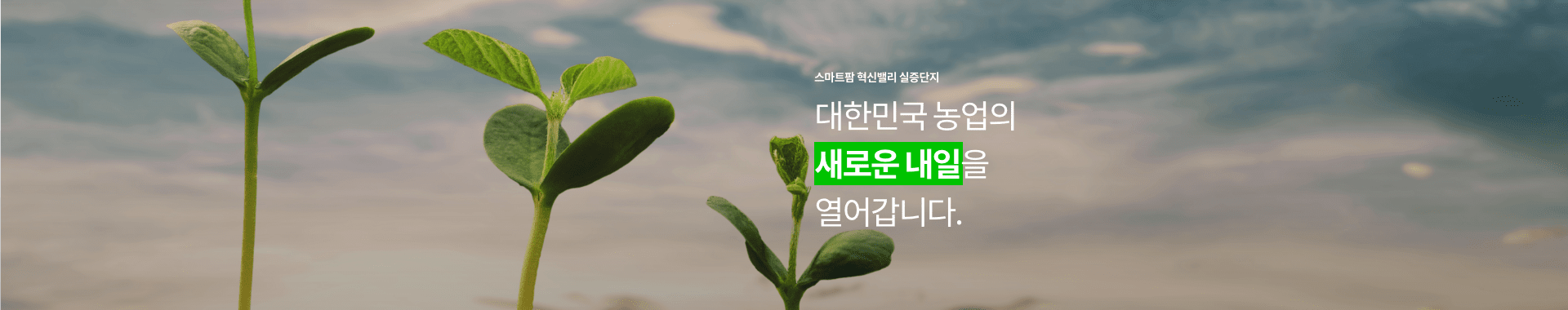 스마트팜 혁신밸리 실증단지 / 대한민국의 농업의 새로울 내일을 열어갑니다.